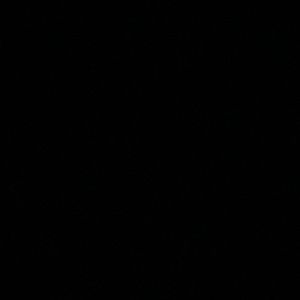 Meet your Posher, Chaudhary